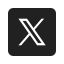 X Icon